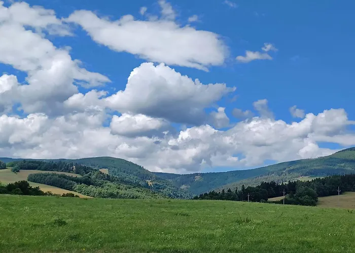 Hill 26 By Interhome Hébergement de vacances Cista (Hradec Kralove)